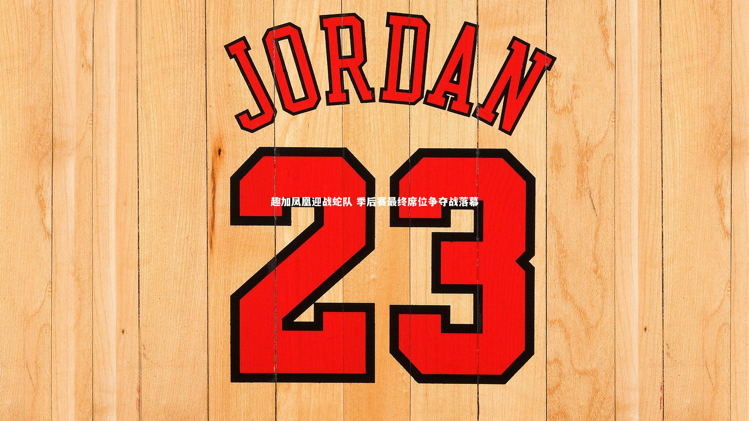 九游会j9官网|趣加凤凰迎战蛇队 季后赛最终席位争夺战落幕