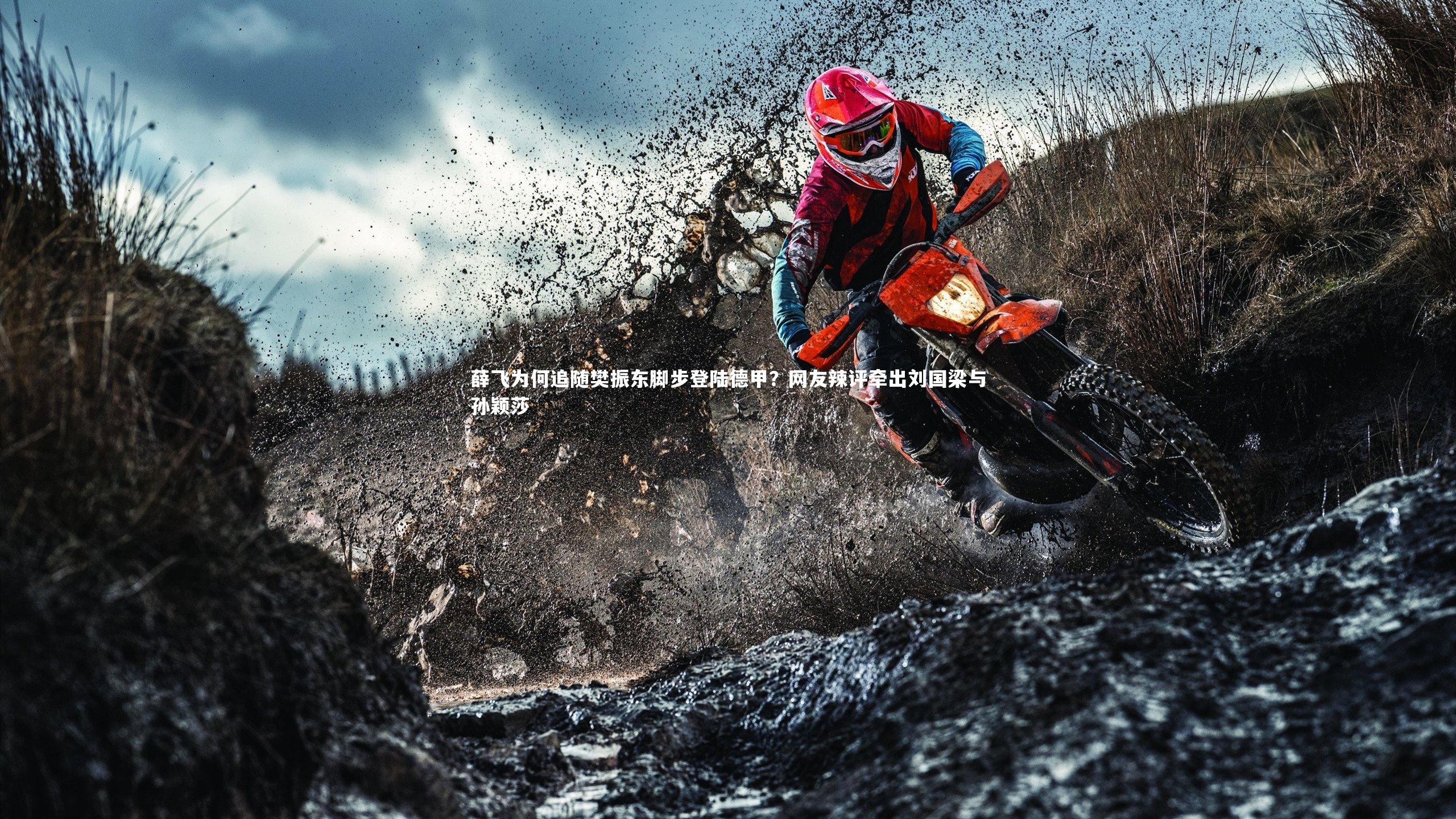 薛飞为何追随樊振东脚步登陆德甲？网友辣评牵出刘国梁与孙颖莎